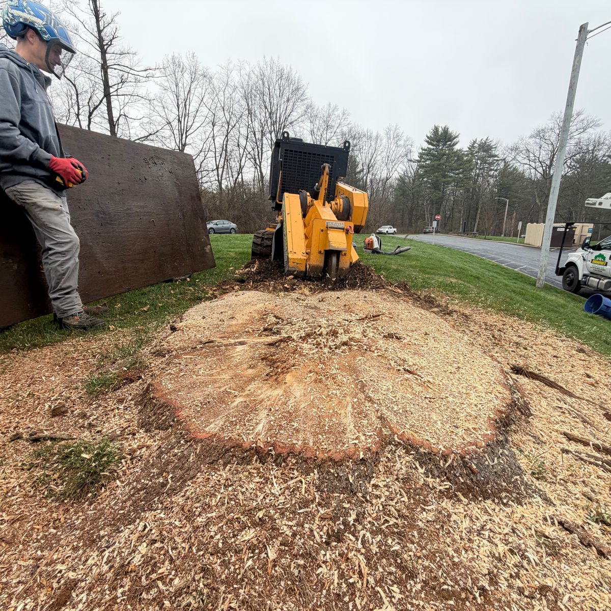 Stump grinder working in a park
