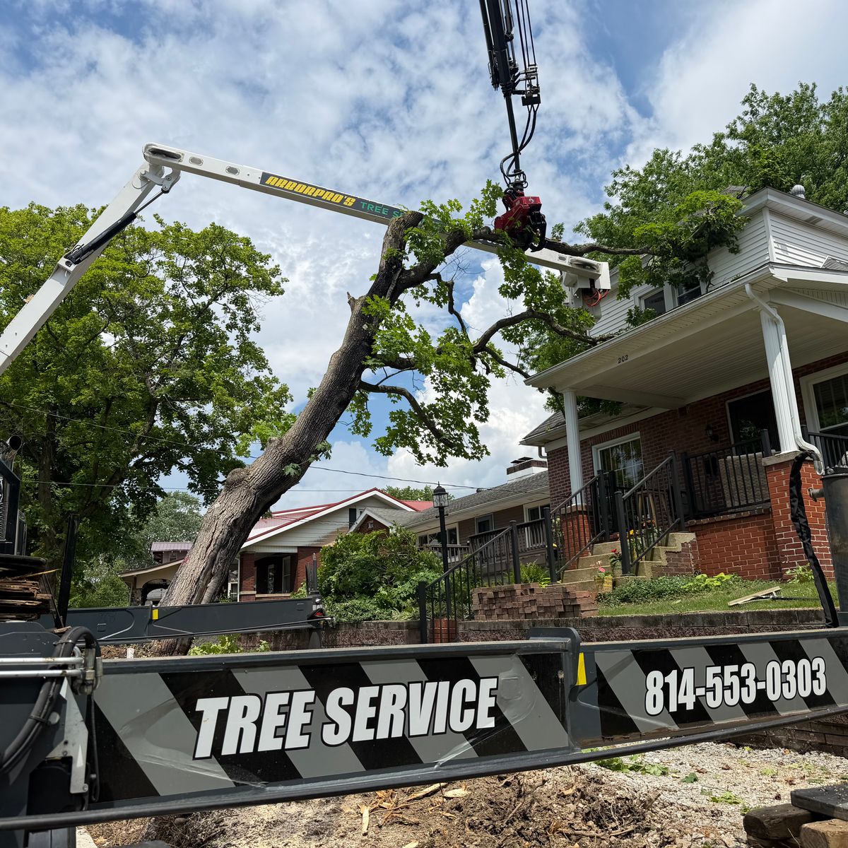 Crew and equipment at a tree job beside a house