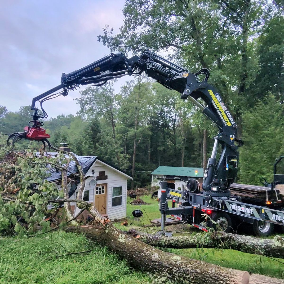 Fallen tree on a small house