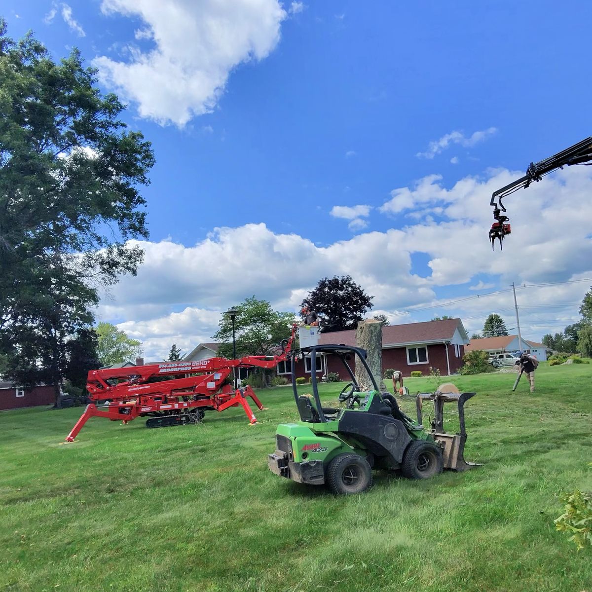 Spider lift working in a tree