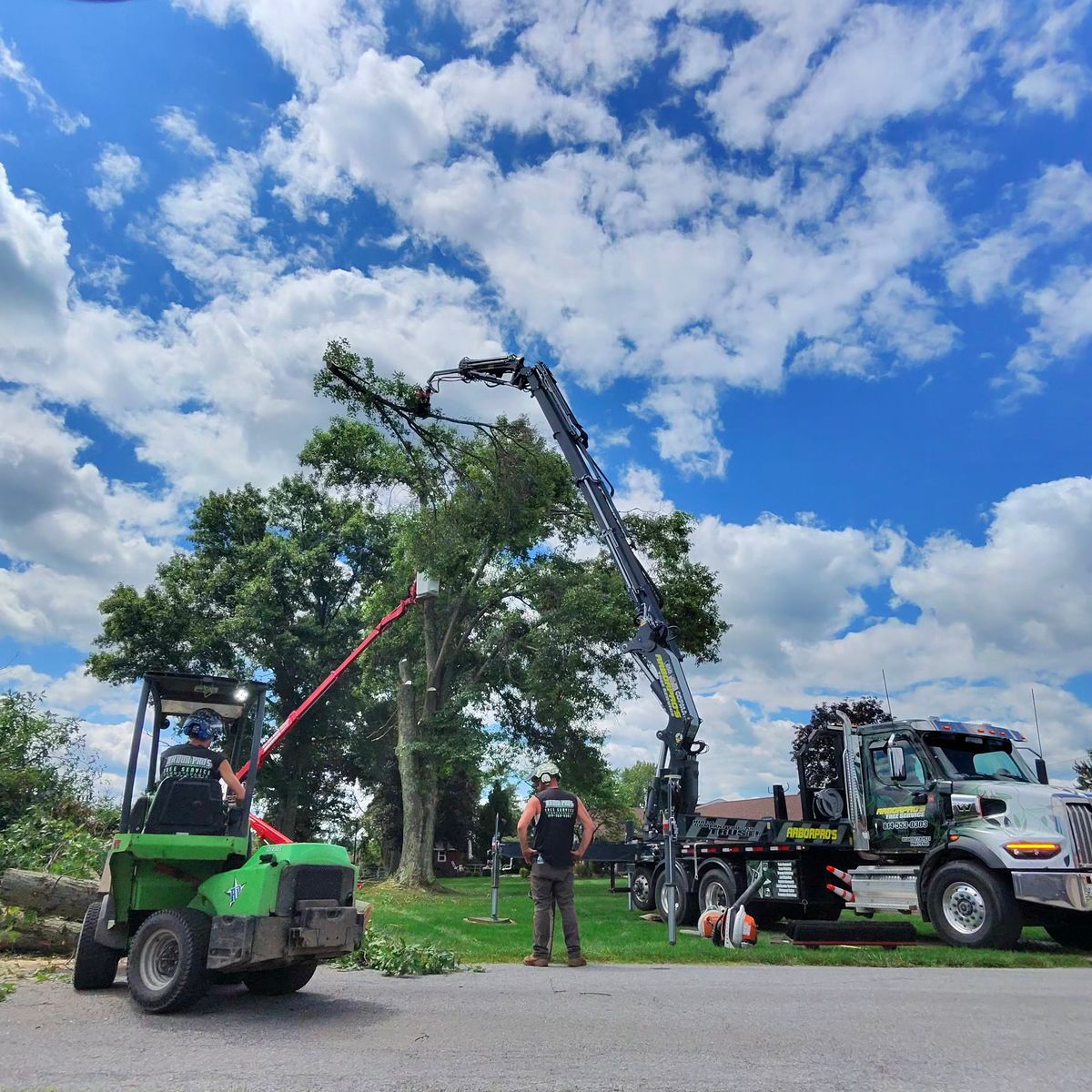 Crane truck on a tree removal job