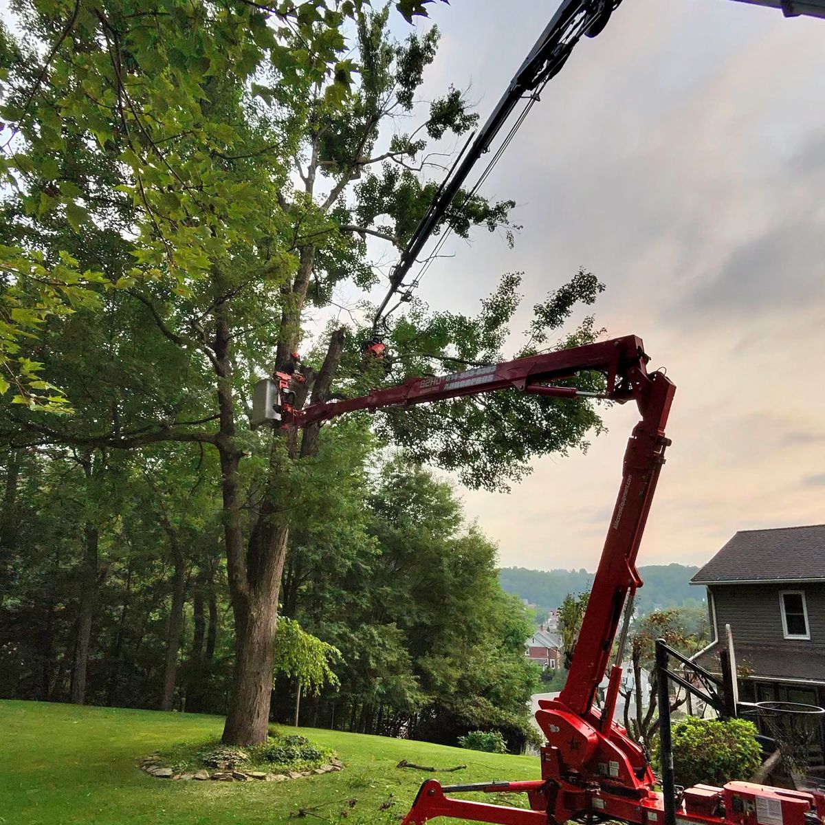 Spider lift working in a tree beside a house