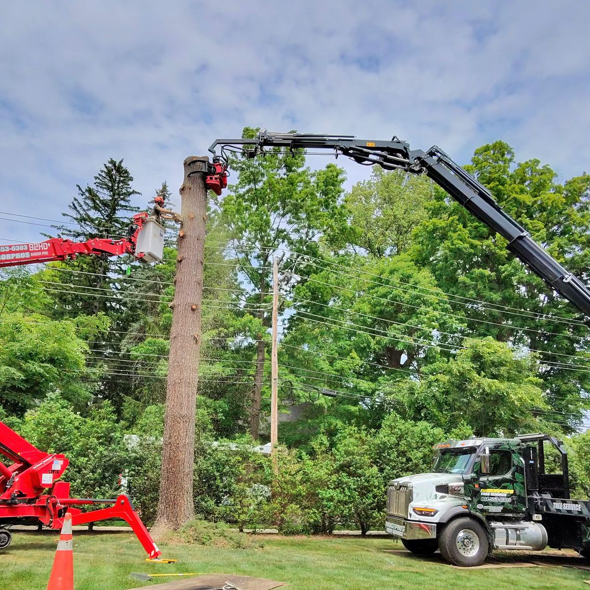 Crane and spider lift removing a tree
