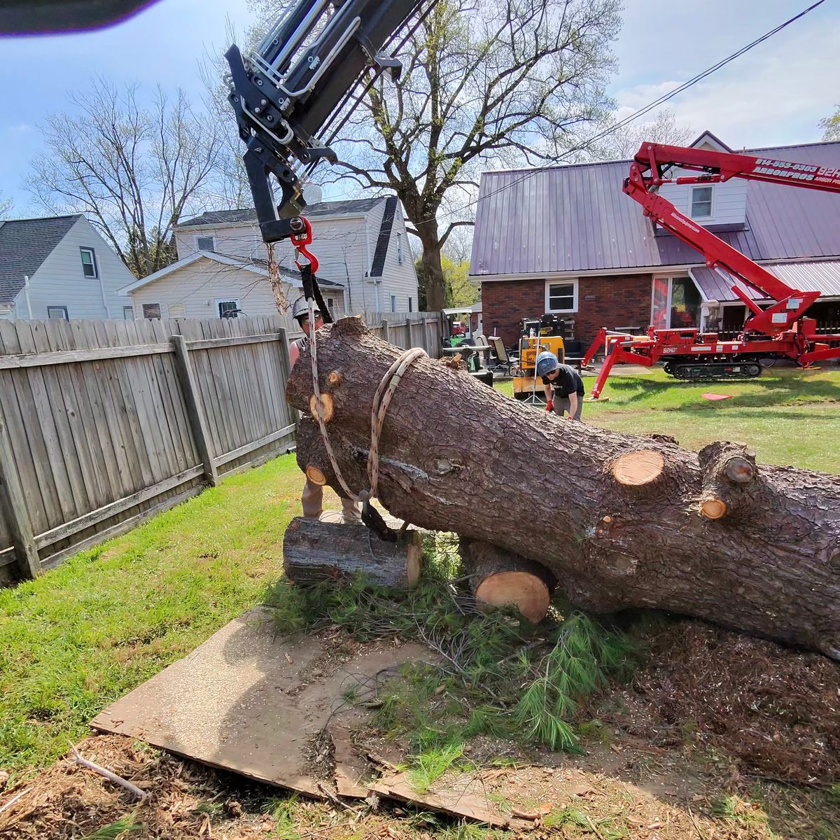 Crane truck on a tree removal job
