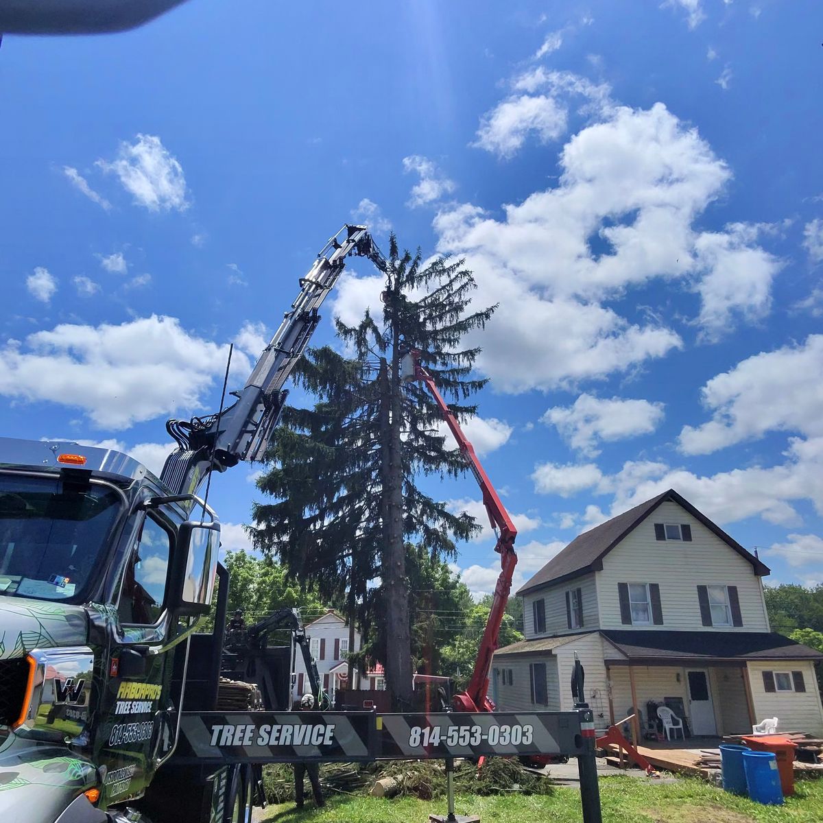 Crane and spider lift removing a tall spruce beside a house